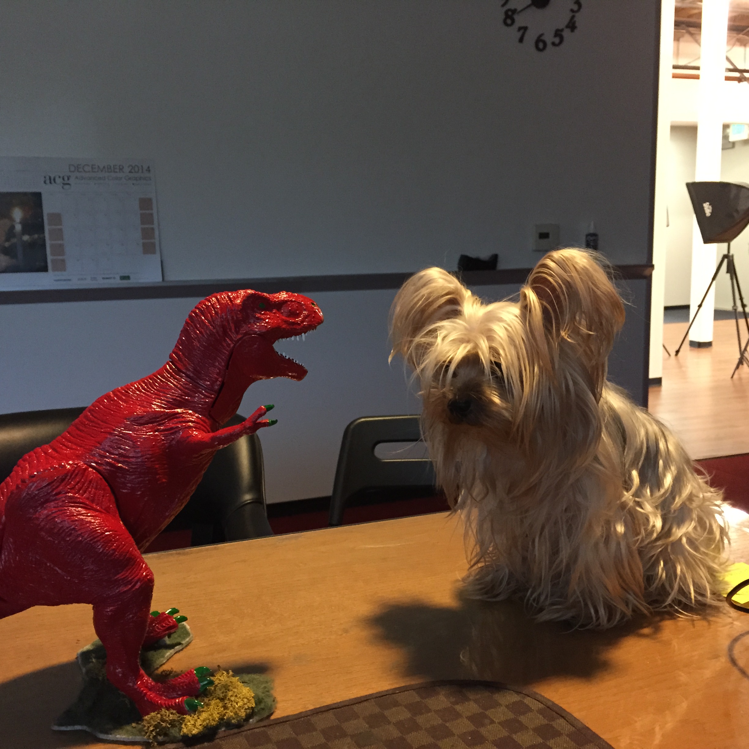 Wolfgang at the office